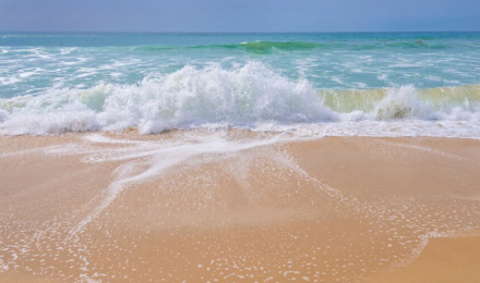 Protection de l'océan au Togo